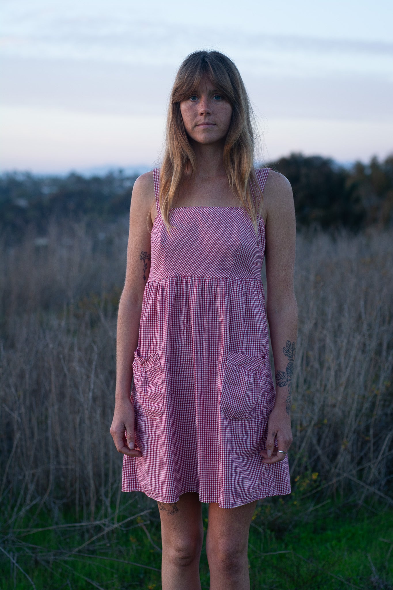 Vintage Red Gingham Dress