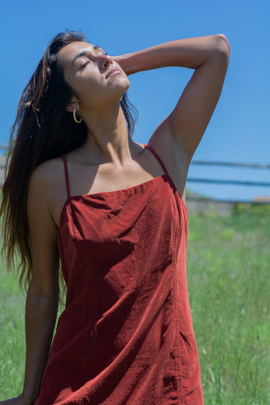 Rust Corduroy Dress