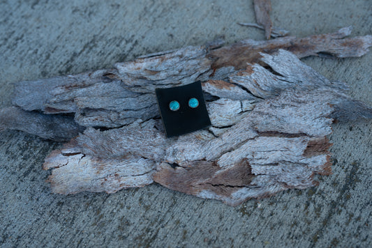 Turquoise Stud Earrings