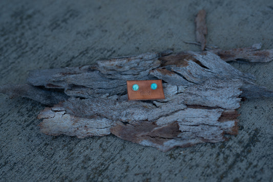 Turquoise Stud Earrings